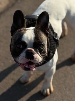 CHARLIE