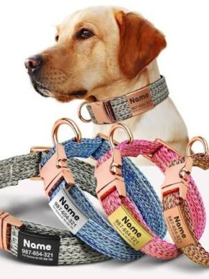 Personalized Puppy Collar