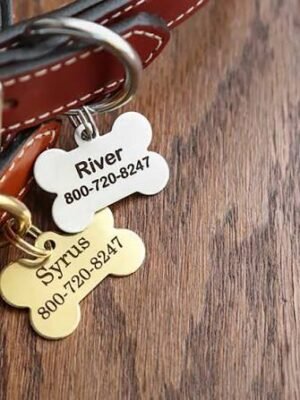 Puppy Name Tags