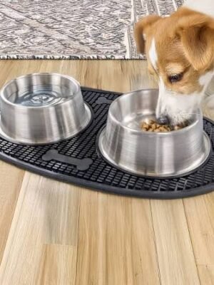 Stainless Steel Puppy Bowls