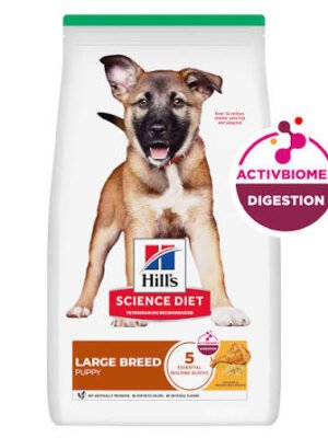 Large Breed Puppy Dry Food