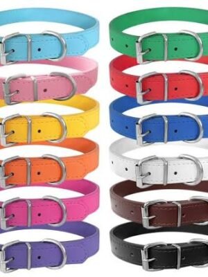 Puppy collars