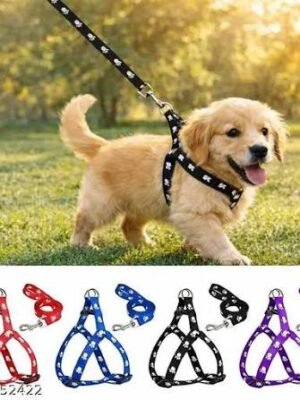 Puppy Leash